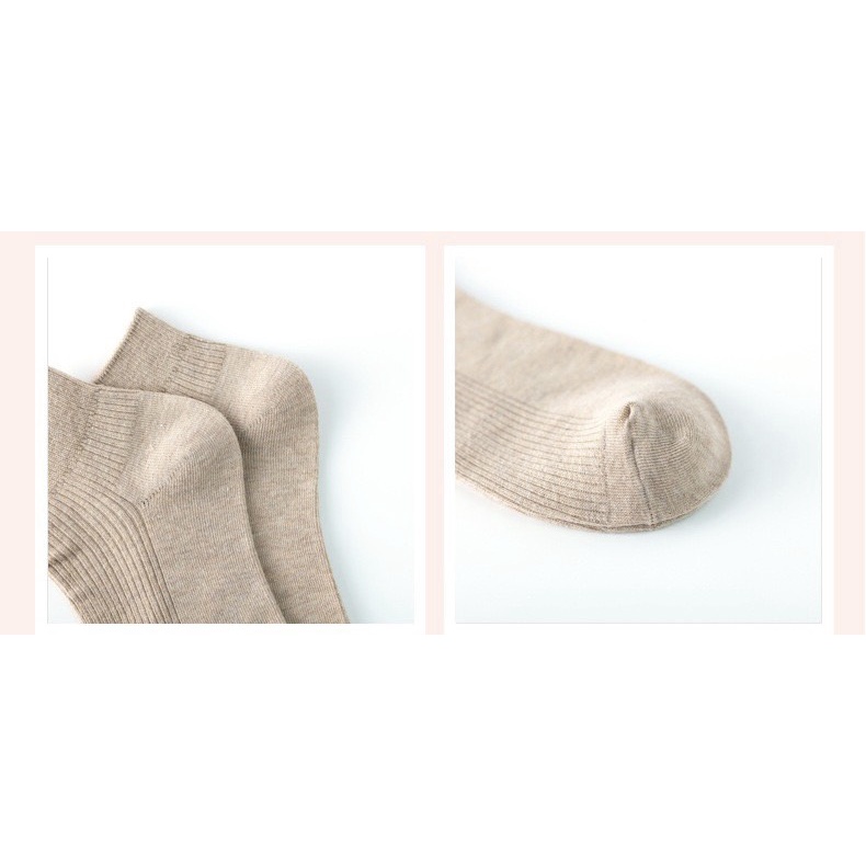 Tất cổ ngắn nam nữ vớ trơn gân 6 màu basic cotton kháng khuẩn thấm hút mô hôi tốt MONEY VN067