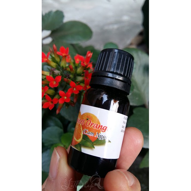 Tinh dầu cam ngọt nguyên chất