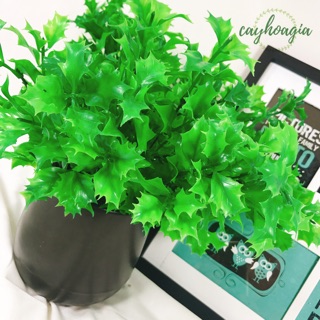Cây giả - Cây đinh lăng xanh