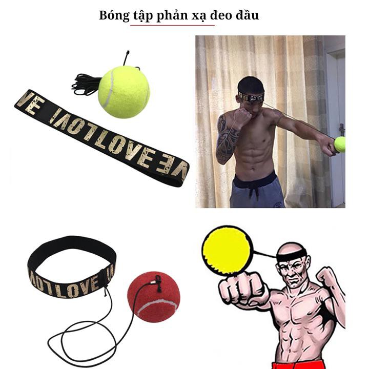 Bóng đấm boxing tập phản xạ treo đầu FX301