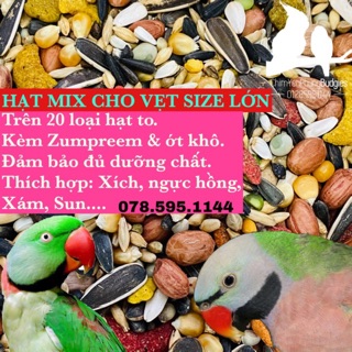 1KG | HẠT HỖN HỢP HOÀN CHỈNH CHO VẸT SIZE LỚN + ZUMPREEM. (trên 20 loại hạt).