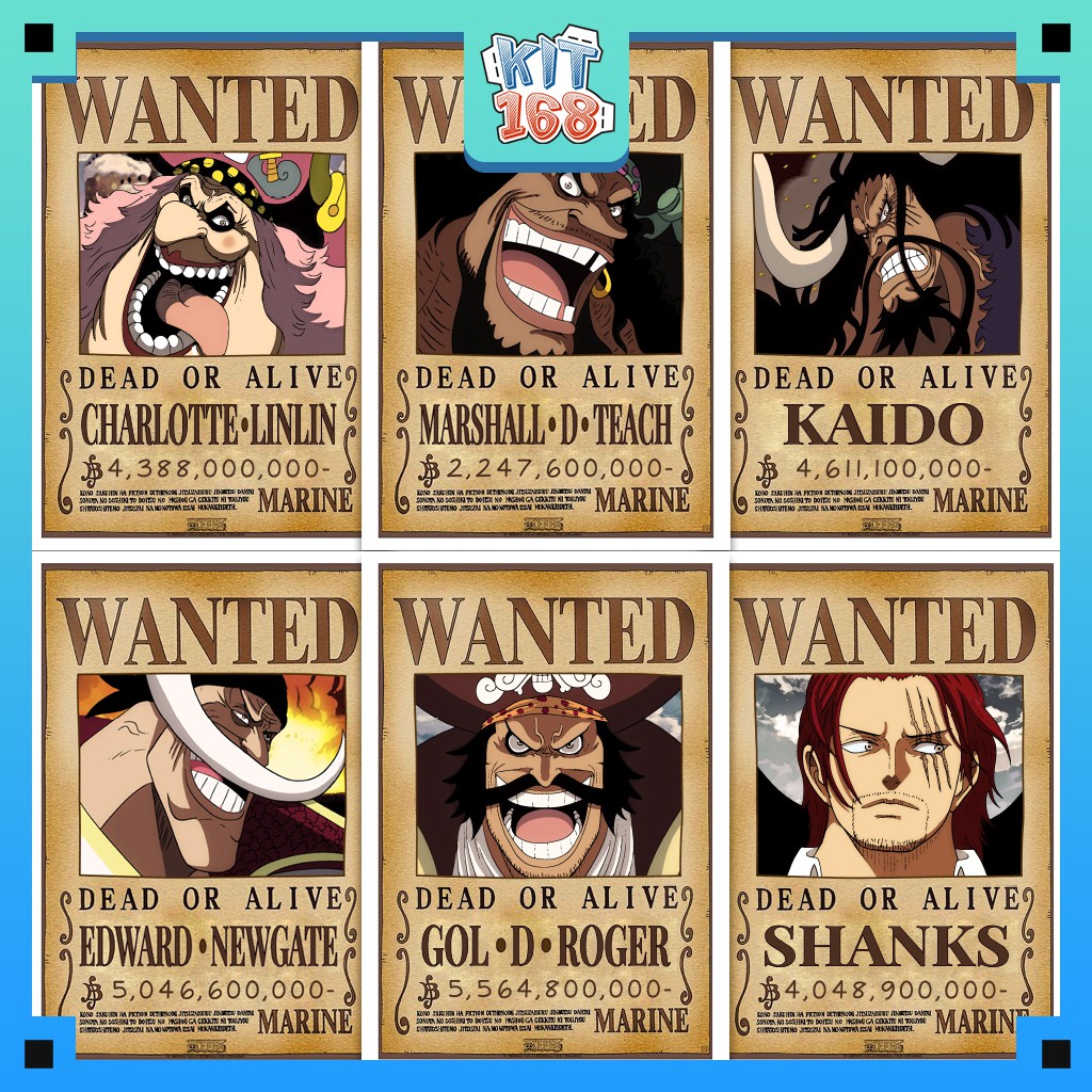 Postcard Hình truy nã One Piece (PCARD-0002)