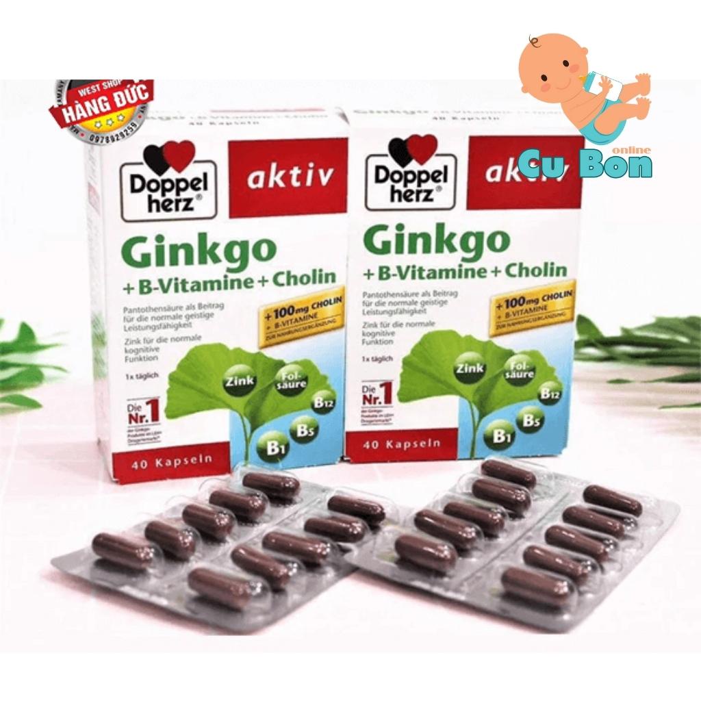 viên uống Bổ Não Doppelherz Aktiv Ginkgo + Vitamin B + Cholin của Đức 40 viên tăng cường khả năng tập trung