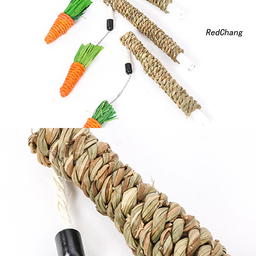 Đồ chơi cào móng cho mèo cưng hình cây gắn củ cà rốt độc đáo