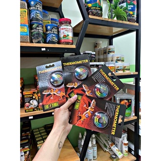 Đo nhiệt độ Exo