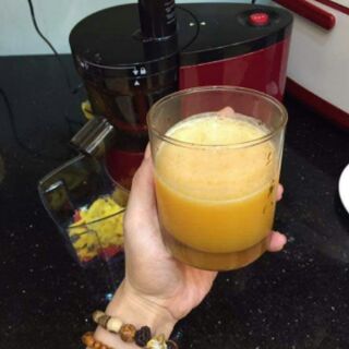 Máy ép chậm SAVTM
