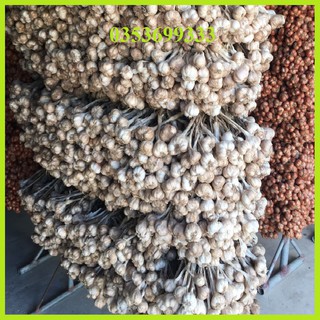 [ Sẵn HCM] 1 Kg Tỏi ta khô miền Bắc loại 1 cực to thơm ngon