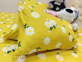 Bộ ga gối cotton polly (ảnh thật)