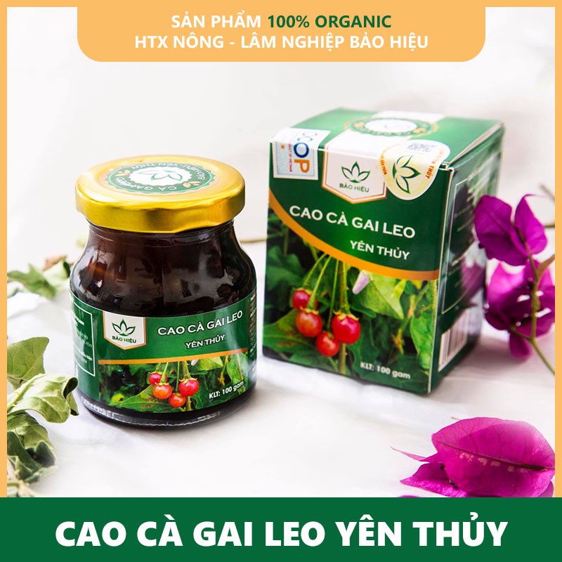 Giải độc gan, Giải rượu Cao Cà gai leo Yên Thủy 100g | BigBuy360 - bigbuy360.vn