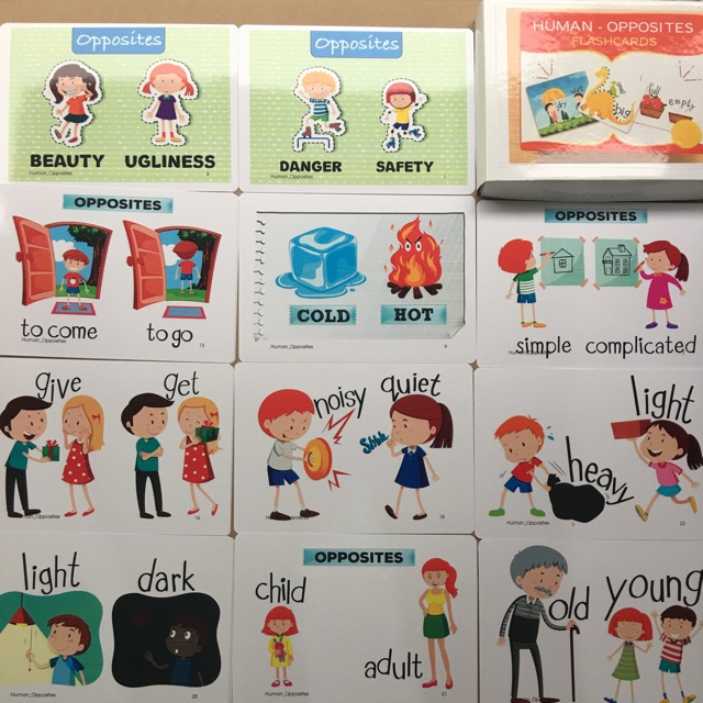 Flash card Human Opposites (102 tranh)