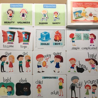 Flash card Human Opposites