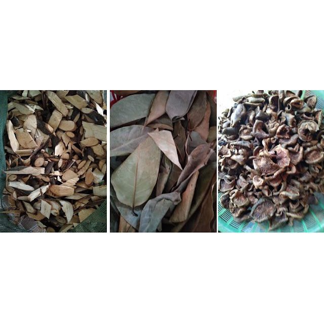 Combo 1kg Lá + 1kg Quả Bình Bát khô