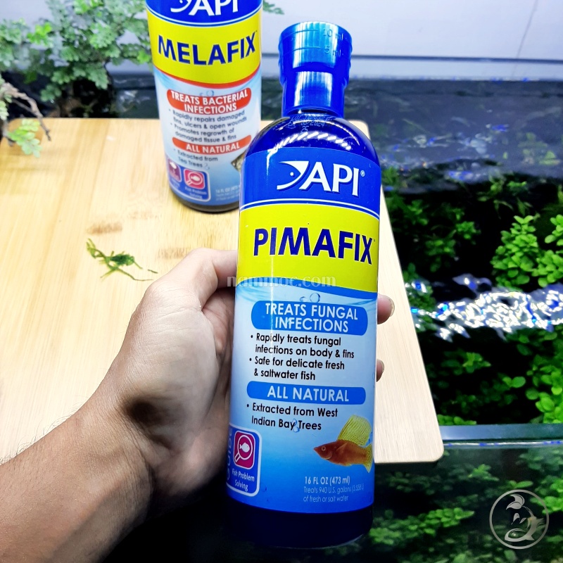 API Melafix và Pimafix - Chế Phẩm Kháng Khuẩn - Đặc Trị Nấm | Bộ Đôi Hoàn Hảo Chăm Sóc Cá Cảnh