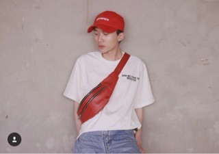Belt Bag