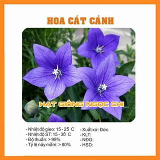 Hạt Giống Hoa Cát Cánh - 50 Hạt