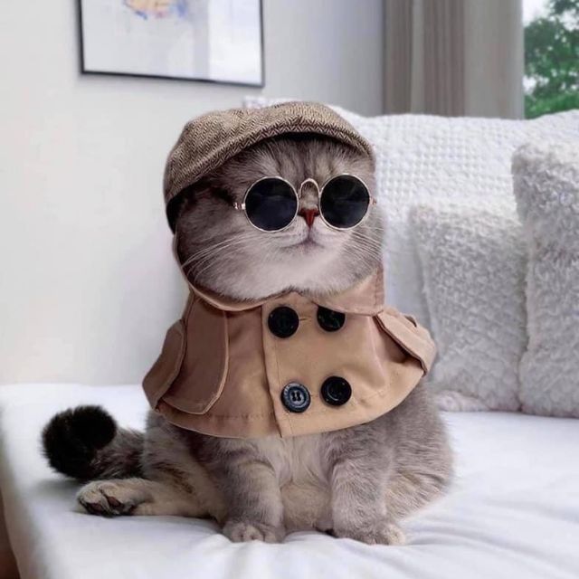 Nguyenlieutraphuclong