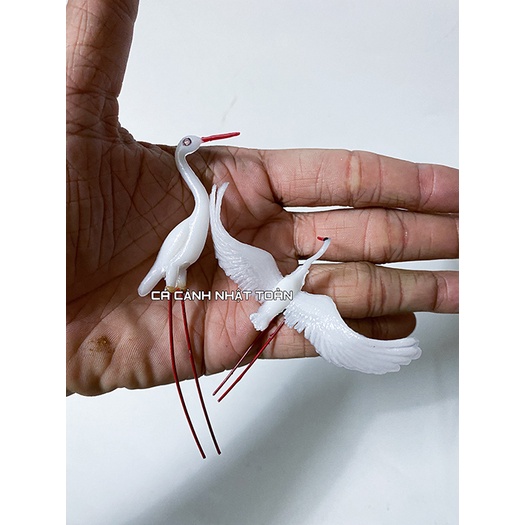 CÒ LẺ TRUNG 1 CON TRANG TRÍ BỂ CÁ NON BỘ TIỂU CẢNH (CON BAY, CON ĐẬU)