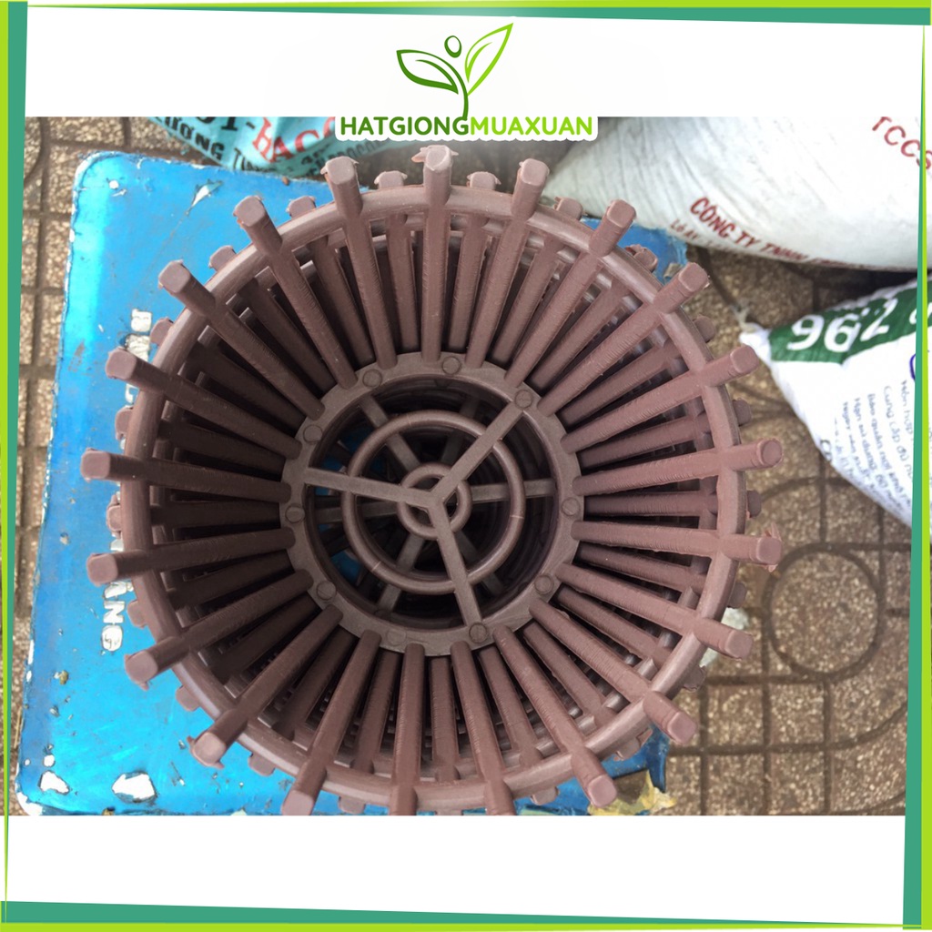 [SIEURE] Combo 10 chậu nhựa giả gỗ 20cm hàng đẹp, phân phối chuyên nghiệp.