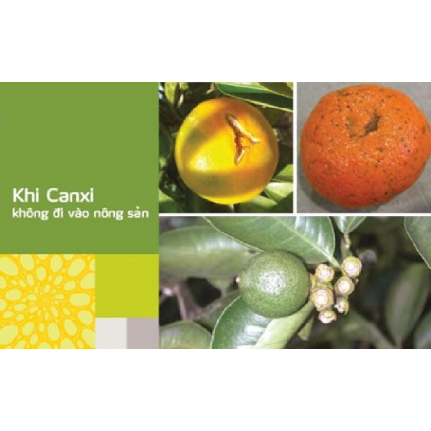 Phân bón KDI 9 Siêu Canxi dưỡng to quả chống rụng trái rụt ngọn