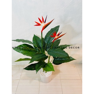 Cây thiên điểu 1m - cây giả decor