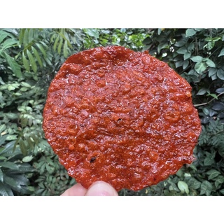 5 CON CÁ BÒ NƯỚNG SA TẾ ĐÀ NẴNG