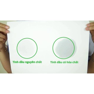 Tinh dầu tràm gió đặc biệt