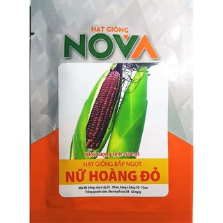 Hạt Giống Bắp Ngọt Nữ Hoàng Đỏ (50 hạt), Bắp Tím Nova Nữ hoàng đỏ