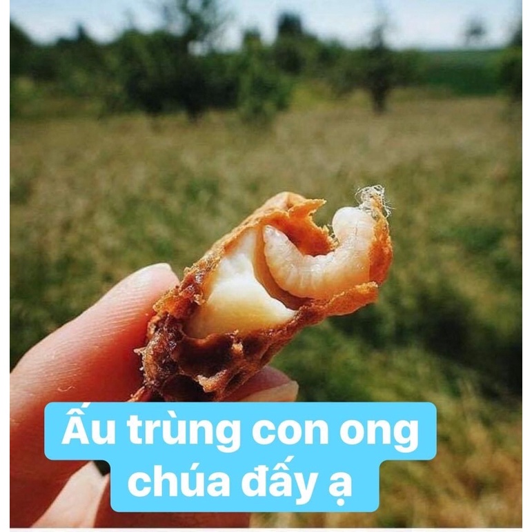 Sữa Ong Chúa Tươi nguyên chất 100%