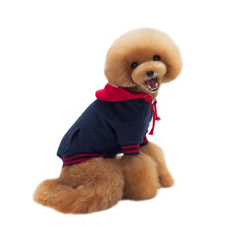 Áo hoodie thể thao cho thú cưng 100% cotton