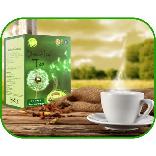 Trà Bồ Công Anh - Tea Dandelion 40 túi lọc - Công ty P&K