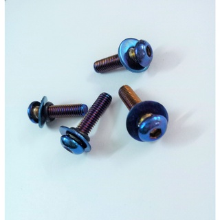 ốc gắn mão winner X ( 4 con )
