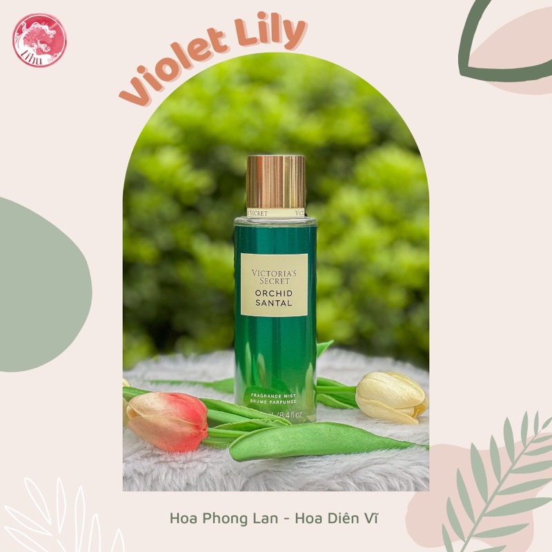 Xịt thơm khử mùi dưỡng thể hương hoa Victoria's Secret phiên bản giới hạn