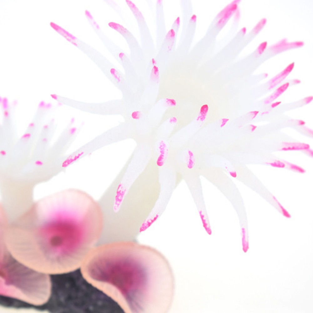 San hô nhân tạo nhiều màu sắc trang trí hồ cá