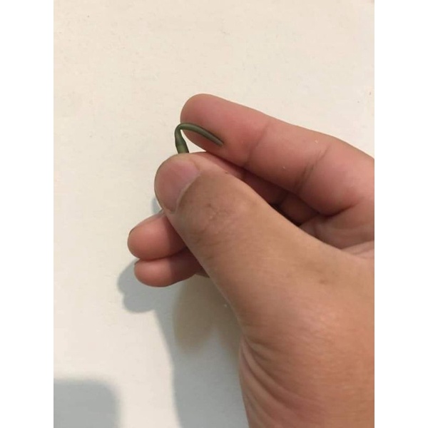Chống lật lưỡi câu lục