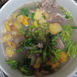Hạt Dẻ rừng