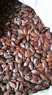 Combo 2kg hạt dưa, hạt bí