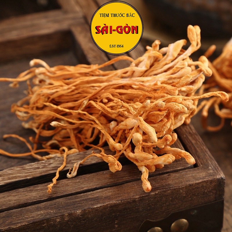 Đông Trùng Hạ Thảo 100gr Sấy Khô Sợi To Ngon Hàng Cao Cấp Bồi Bổ Cơ Thể