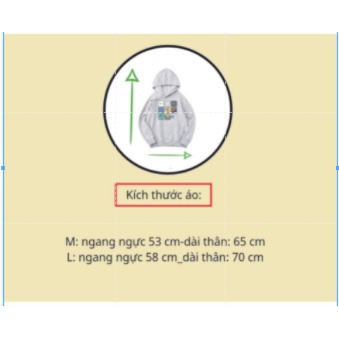 Áo nỉ Hoodie xám vải coton 100% dày dặn siêu đỉnh