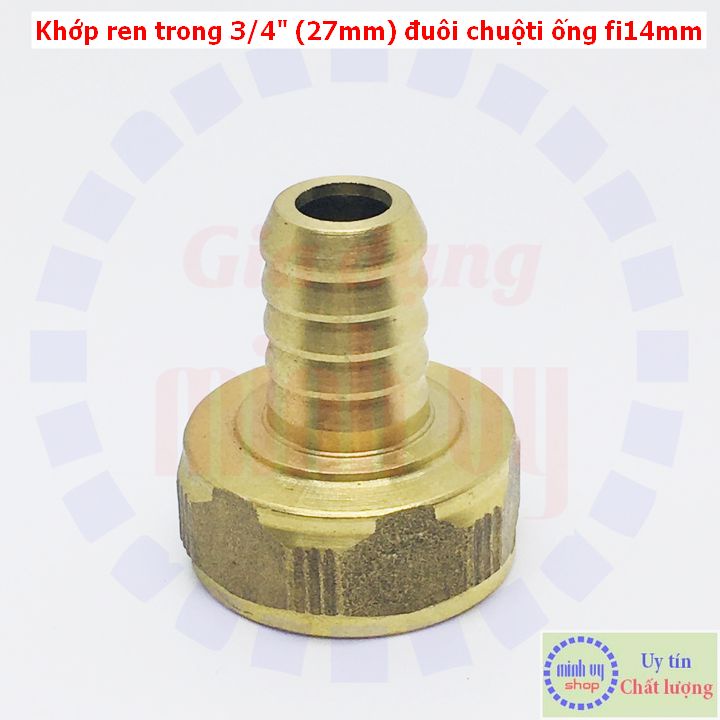 Khớp chuyển ren trong 3/4&quot; (ren trong 25) - đuôi chuột nối ống fi 14mm