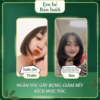 Dầu Gội Diệp Mộc Lamei