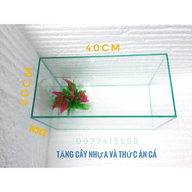 Bể cá size trung