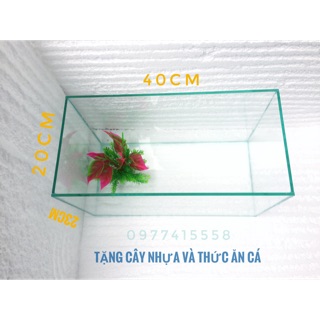 Bể cá size trung