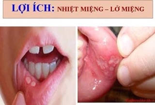MUỐI HỒNG QAISAR
