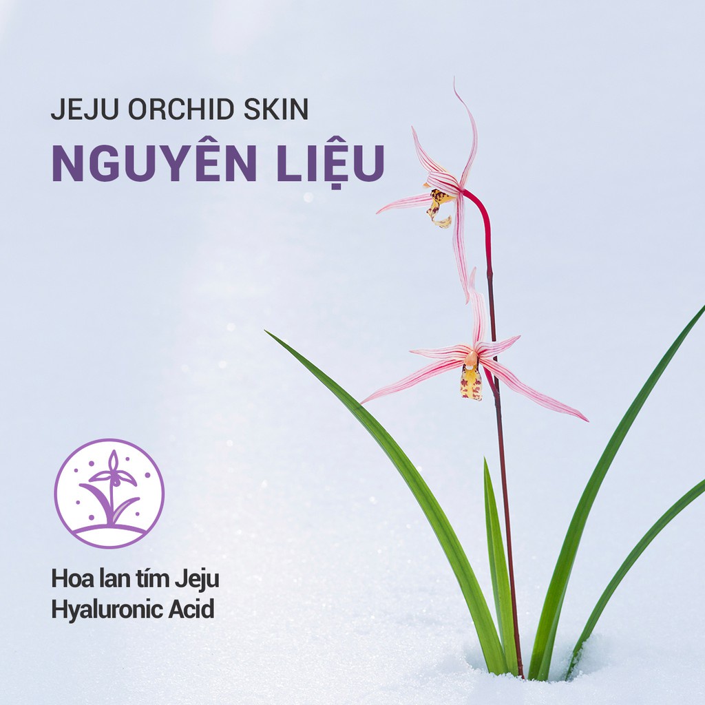 [Mã FMCGMALL -8% đơn 250K] Nước cân bằng chống lão hóa hoa lan tím Innisfree Jeju Orchid Skin 200ml