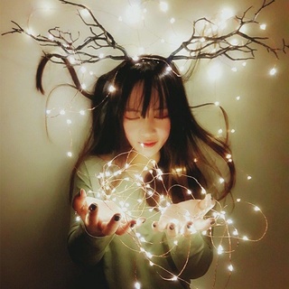 Đèn led Fairy Light - Đèn đom đóm phụ kiện decor chụp ảnh