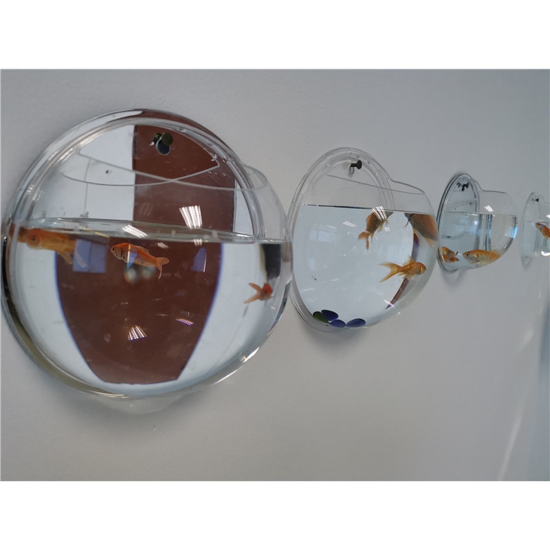 Bể Cá Gắn Tường Ba Màu Sắc Hình Cầu Bằng acrylic Sáng Tạo