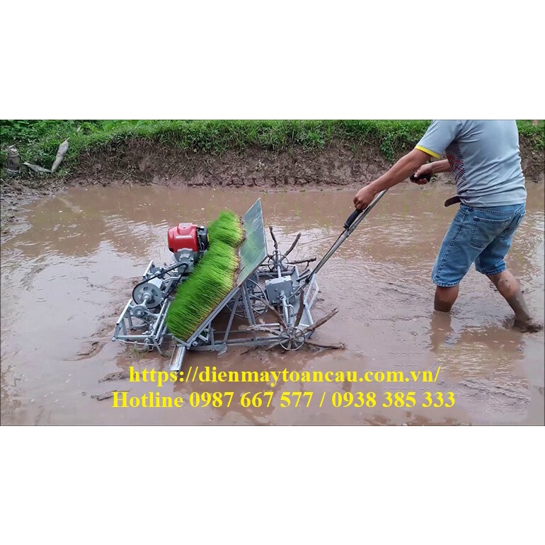 Máy Cấy Văn Lang 6 hàng  - Máy cấy - ĐIỆN MÁY TOÀN CẦU