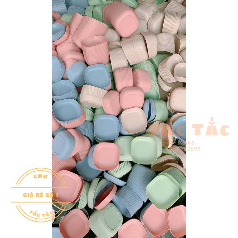 SET 8 CHIẾC ĐĨA LÚA MẠCH MẪU MỚI TONE MÀU PASTEL NGỌT NGÀO /COMBO 8C ĐĨA LÚA MẠCH - bán cả thế giới