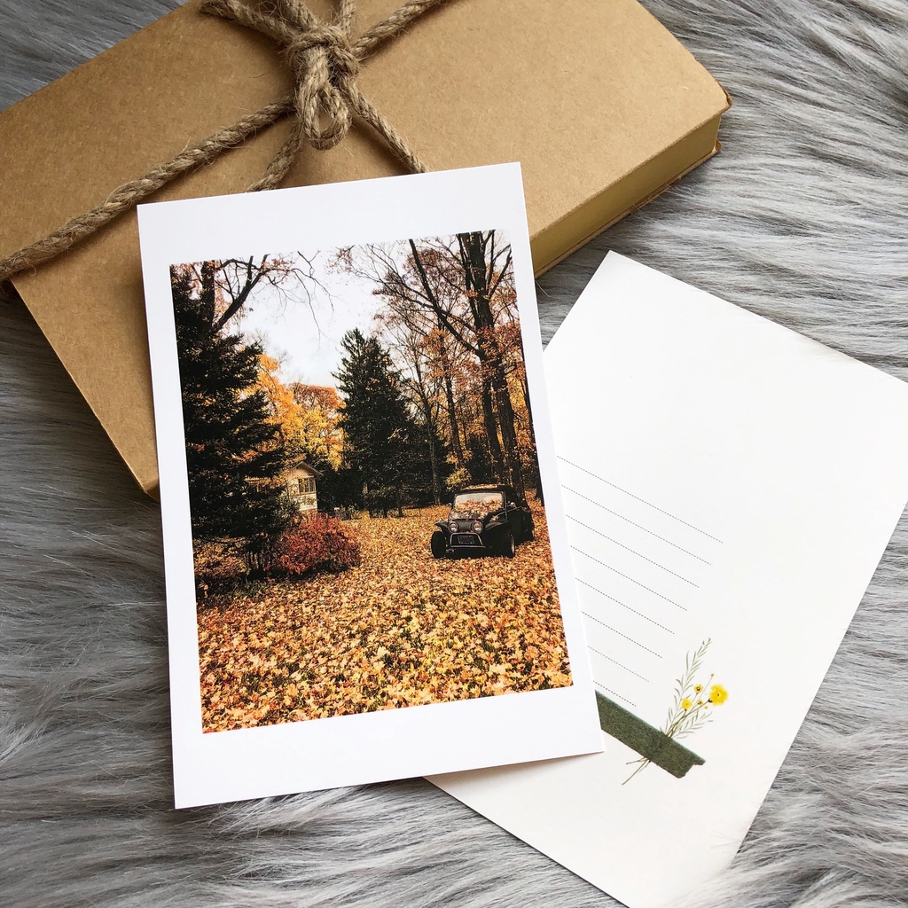 Postcard, Thiệp chúc mừng, Tranh trang trí BST mùa Thu  kèm bao thư Kraft