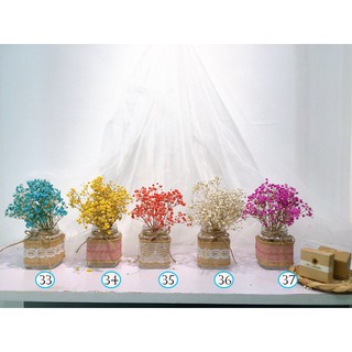 Bình hoa khô - hoa trang trí - decor- hoa khô trang trí_leatr.corp